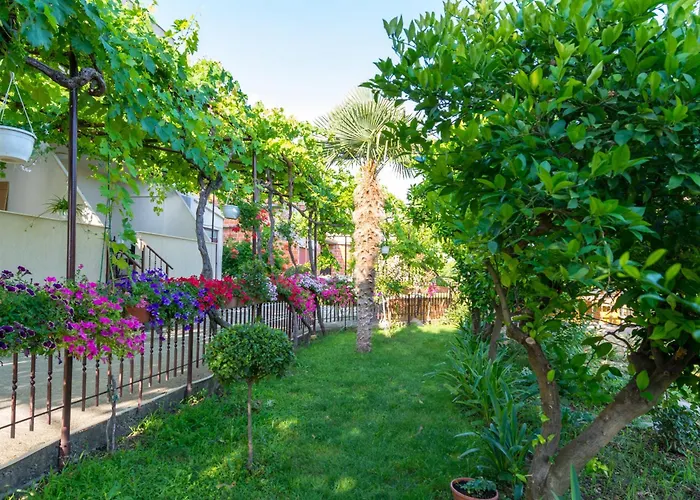 Duje Appartement Kaštela