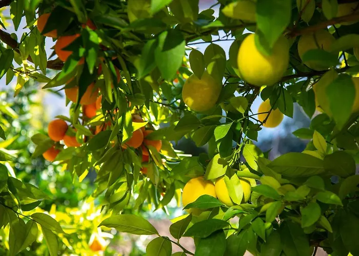 Appartement Duje Kaštela